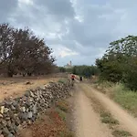 Lo Tros Semesterbostad *