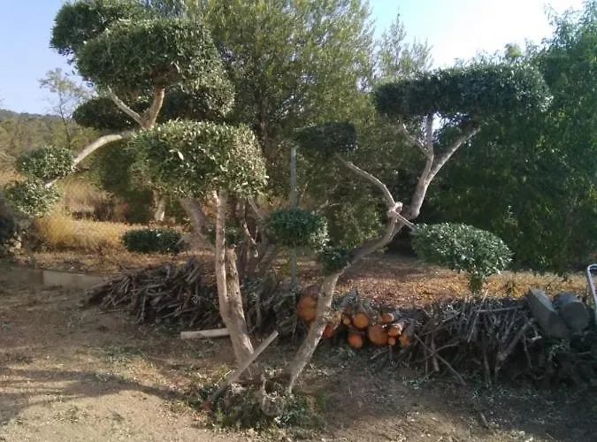 Tatil Evi Lo Tros