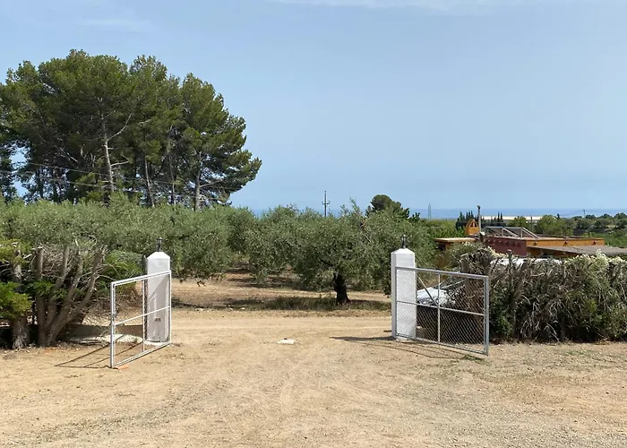 Tatil Evi Lo Tros *